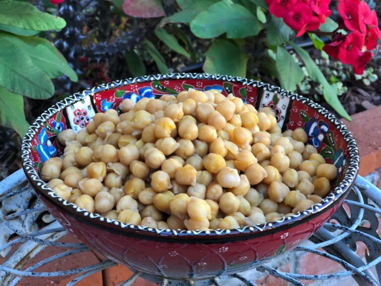 Delicious Instant Pot Garbanzo Beans Healthy Cooking with Shayda
